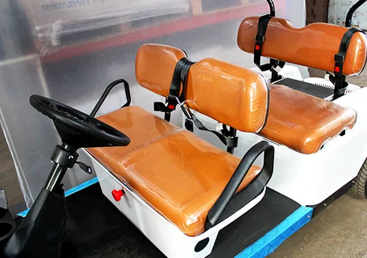 Carro d golf eléctrico